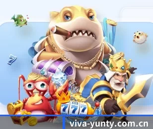 viva-yunty.com.cn五大内容板块,覆盖赛事直播与实时比分 - 多运动项目内容板块